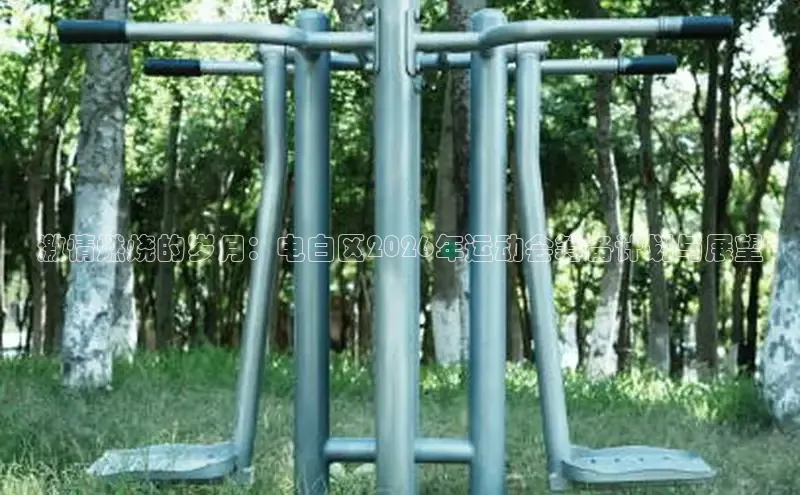 zoty中欧集团